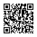 KINZOK ON — GENSOU HARDSOUND COMPILATION #001-007 (東方) [KZON-004-010] (2009-2011)的二维码