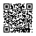 Identity Thief 2013 Unrated x264 720p Esub BluRay Dual Audio English Hindi GOPISAHI.mkv的二维码