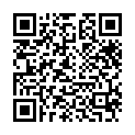 [AnimeRG] Nobunagun (Complete Series) 01-13 [720p] [DUAL-AUDIO] [BD] [x265] [pseudo]的二维码