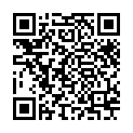 Sword Art Online [OP1+OP2+ED1+ED2][7xCD-FLAC + 6xDVD5 + 1xBDMV25]的二维码